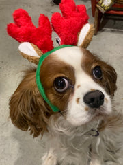 Christmas - Antlers headband