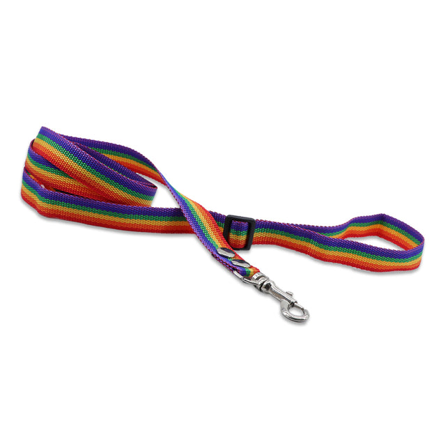 Puppy Leash - Rainbow colours