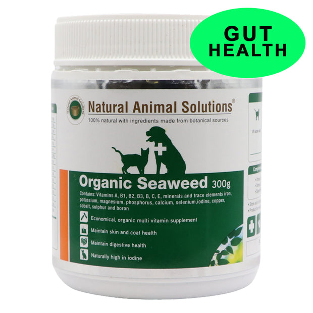 Organic Seaweed for dogs and cats