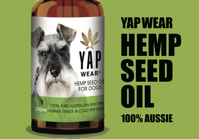 How our Aussie hemp seed oil may help your Dog's health