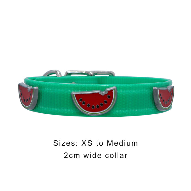 Green Hydro waterproof collar with Watermelons