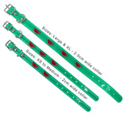 Green Hydro waterproof collar with Watermelons