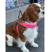 Italian Dog Harness - PINK