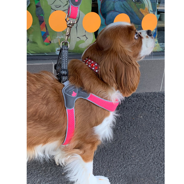 Dog Harness - Made in Italy - PINK