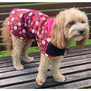 Paris dog raincoat - w/ pink lining