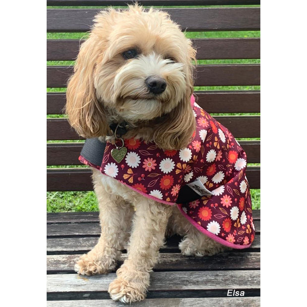 Paris dog raincoat - w/ pink lining