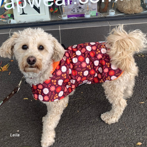 Paris dog raincoat - w/ orange lining