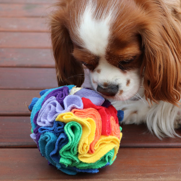 Snuffle ball - Multi colour - Handmade in Australia