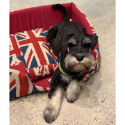Union Jack Dog bed - rectangle - Made in Italy