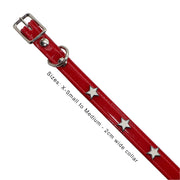 Red Hydro waterproof collar with Stars - Yap Wear Store Albert Park | Pet Boutique