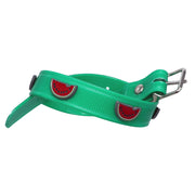 Green Hydro waterproof collar with Watermelons - Yap Wear Store Albert Park | Pet Boutique
