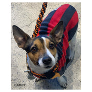 Dog Skivvy - Stripey: polar fleece: made in Australia