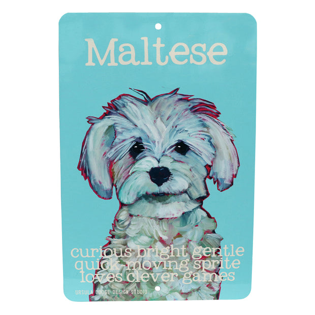 Maltese - Curious & Bright - Aluminum sign - Yap Wear Store Albert Park | Pet Boutique