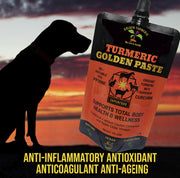 TURMERIC Golden paste - supports body & joint health