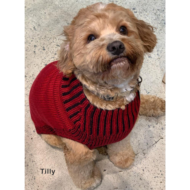 Dog jumper - Two tone jacquard pure wool knit - Ruby Red