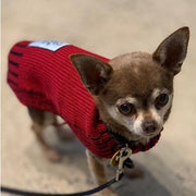 Dog jumper - Two tone jacquard pure wool knit - Ruby Red