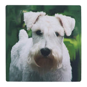 Schnauzer - Mouse Pad