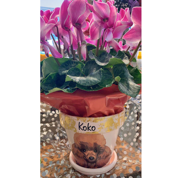 Poodle - Handcrafted Flower Pot | Soft Pink - PICK UP INSTORE ONLY