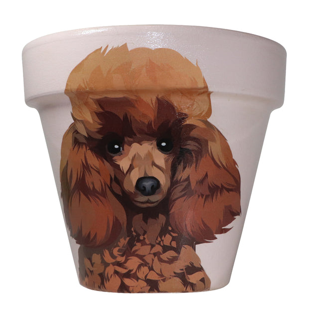 Poodle - Handcrafted Flower Pot | Soft Pink - PICK UP INSTORE ONLY