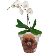Poodle - Handcrafted Flower Pot | Soft Pink - PICK UP INSTORE ONLY