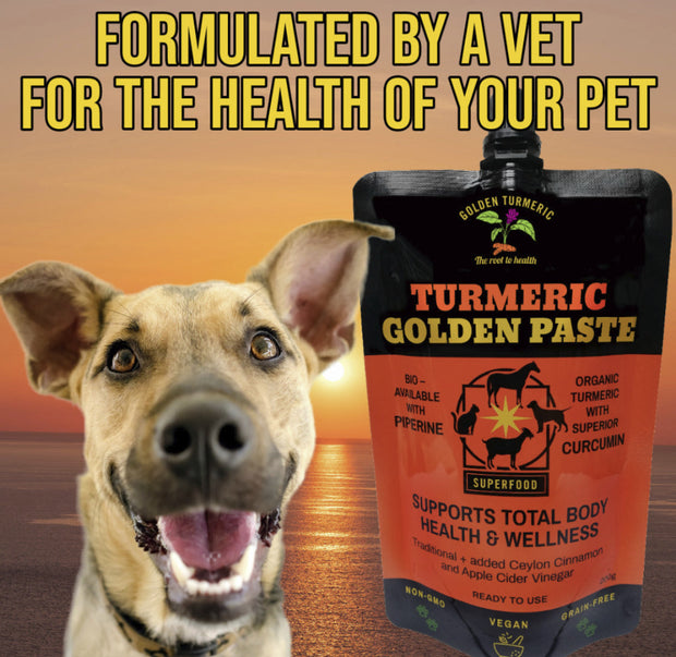 TURMERIC Golden paste - supports body & joint health